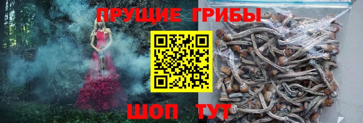 Псилоцибиновые грибы ЛСД Узловая