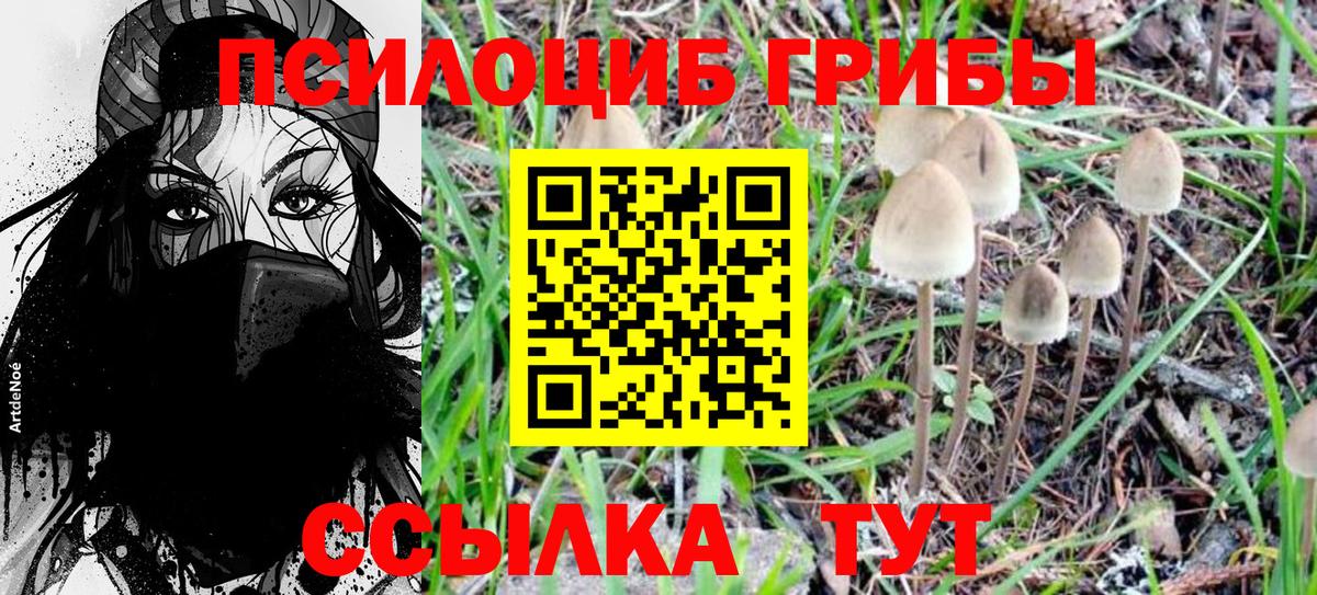 Узловая  Псилоцибиновые грибы Magic Shrooms  Вход с VPN 